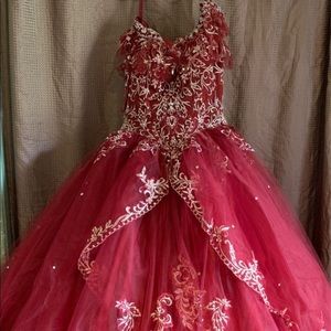 Quinceañera dress like new!
